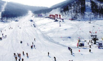 超四成国内冰雪企业年收入下降一半以上