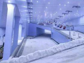 中国奥委会：冰雪项目国家（集训）队正有条不紊备战北京冬奥会