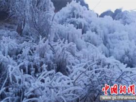 吉林：打造旅游交通网络 服务冰雪旅游