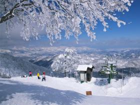 全省首届冰雪运动会组委会扩大会议在石家庄召开