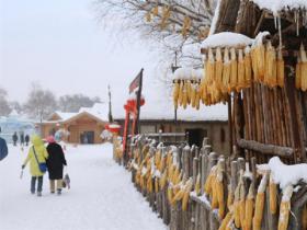 大庆市职工冰雪乐园1月1日“开门纳客”