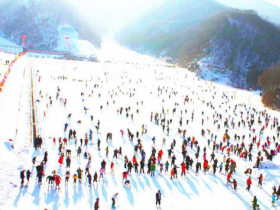 第二十一届哈尔滨冰雪大世界正式开园