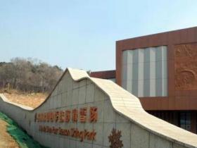 北京市西城区开展“走进冰雪体验中心，体验冬奥文化”活动