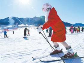 北京：冬奥特色教育助燃青少年“冰雪梦”