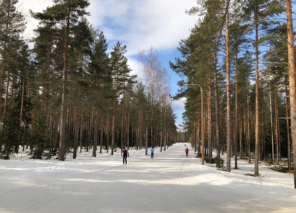 在拉赫蒂市体育中心,民众免费享受专业冰雪场地。