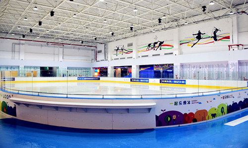 dasher board