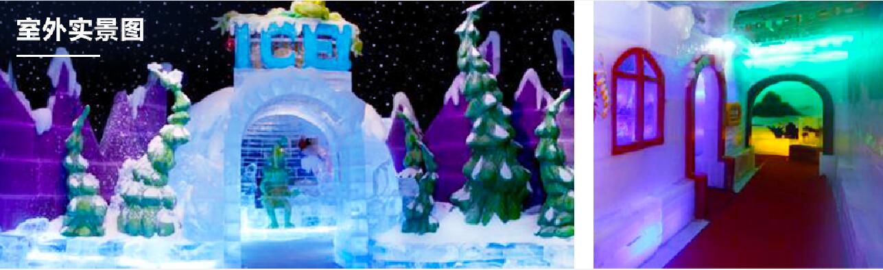 ocean flower island ice & snow world